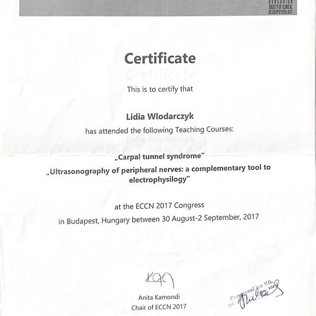 Powiększ obraz: certificate 11