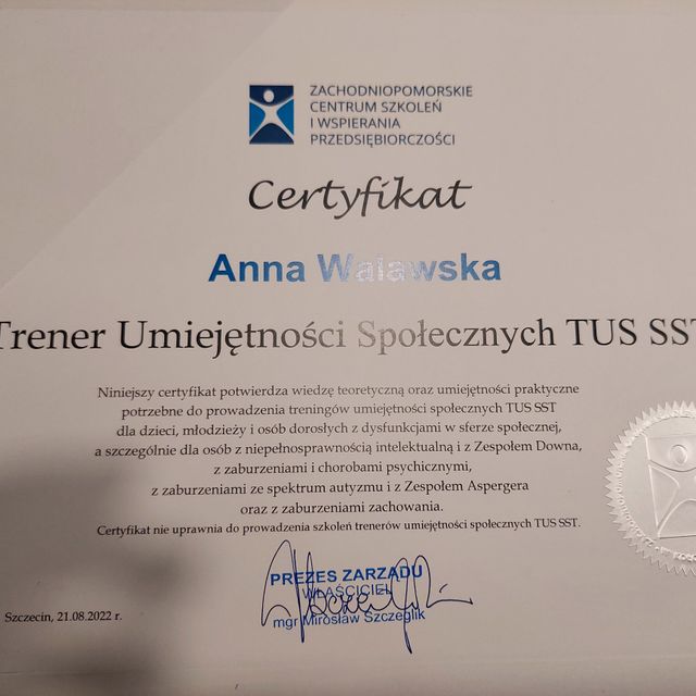 Powiększ obraz: certificate 1