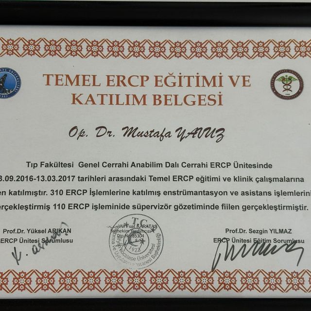 Resmi büyüt: certificate 6