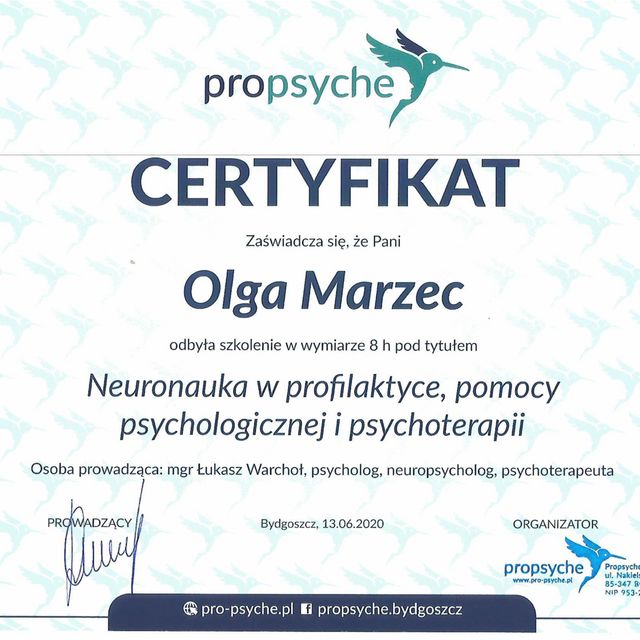Powiększ obraz: certificate 4