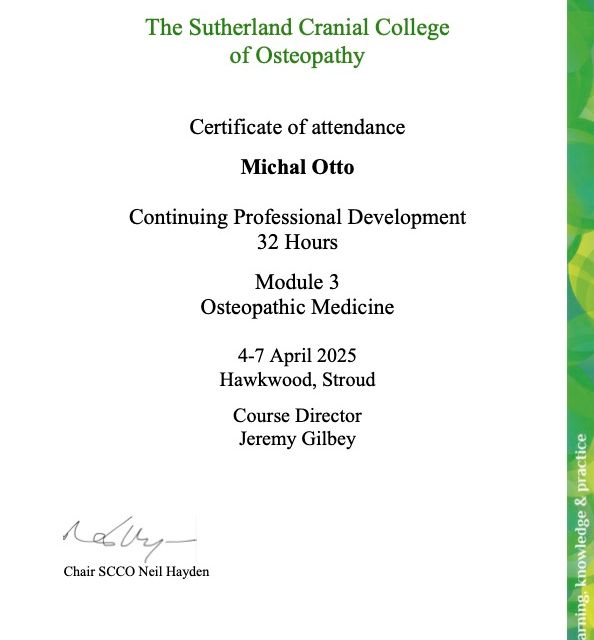 Powiększ obraz: certificate 7