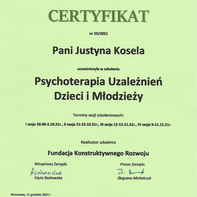 Powiększ obraz: certificate 2