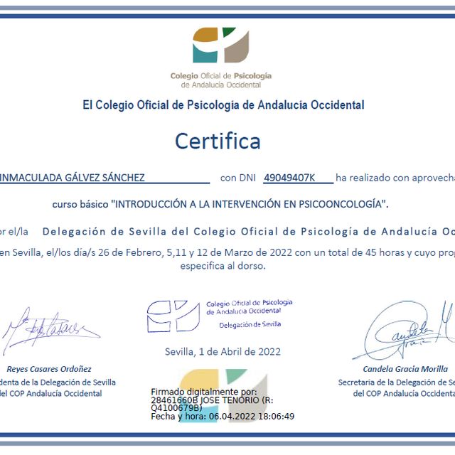 Acercar imagen: certificate 3