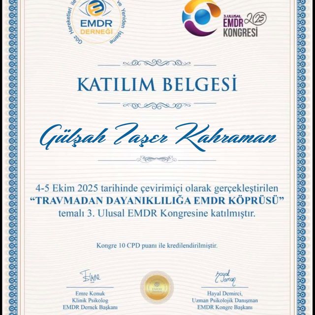 Resmi büyüt: certificate 11