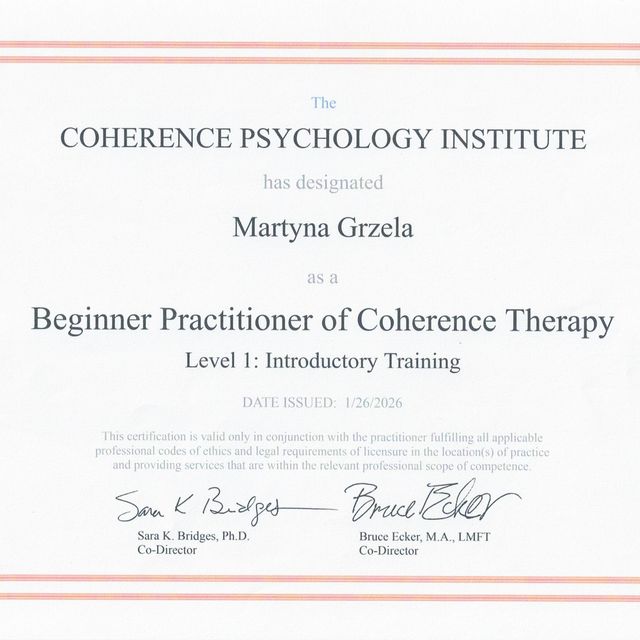 Powiększ obraz: certificate 1