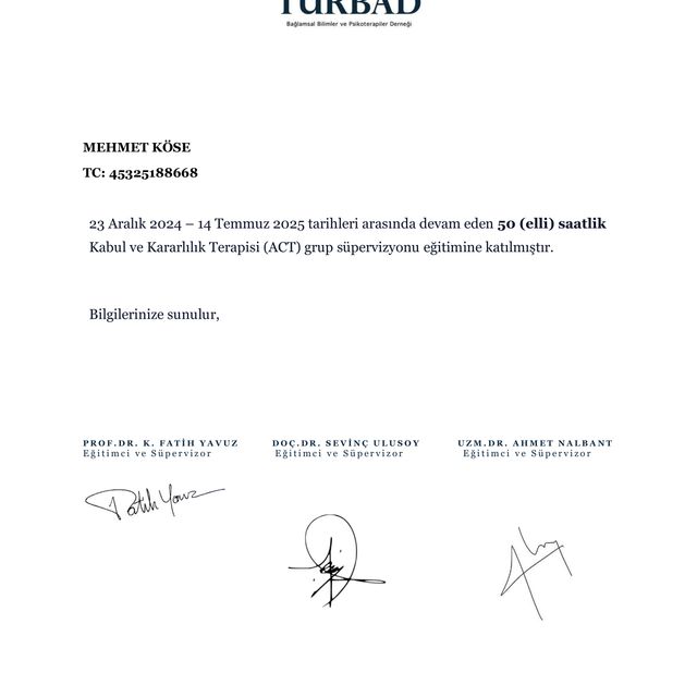 Resmi büyüt: certificate 2