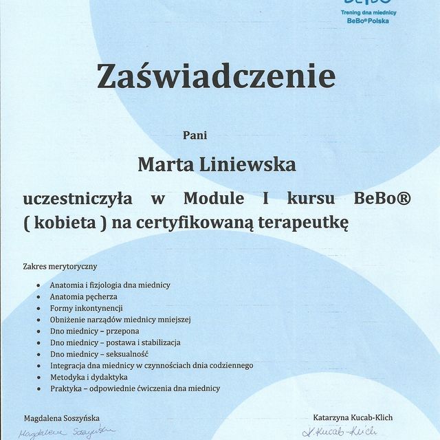 Powiększ obraz: certificate 1