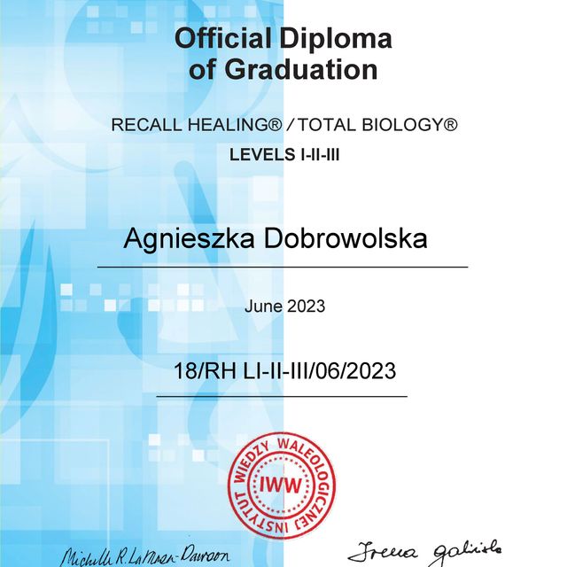 Powiększ obraz: certificate 2