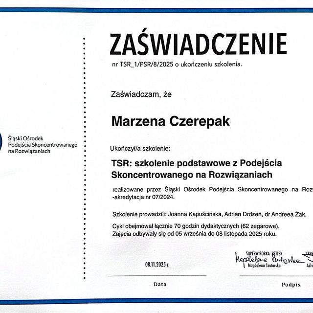 Powiększ obraz: certificate 1