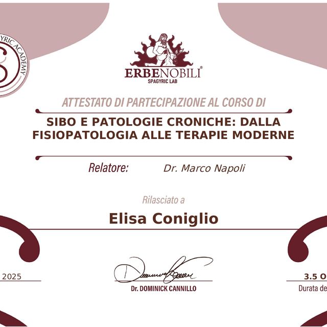Ingrandire l'immagine: certificate 1