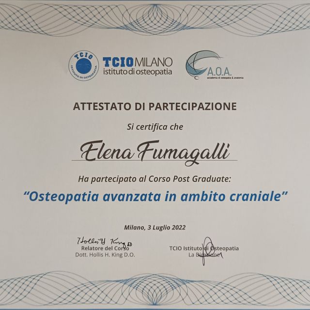 Ingrandire l'immagine: certificate 3