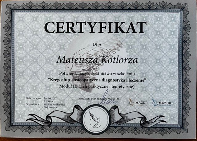 Powiększ obraz: certificate 6
