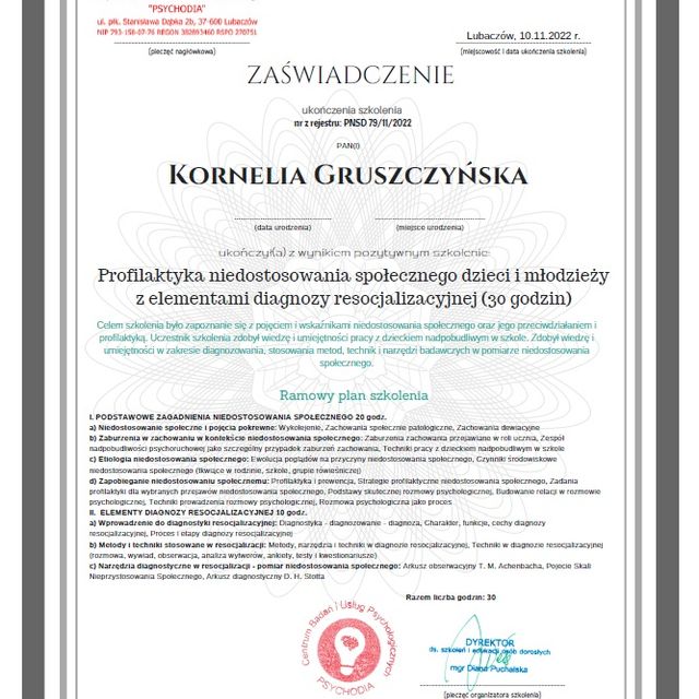 Powiększ obraz: certificate 11