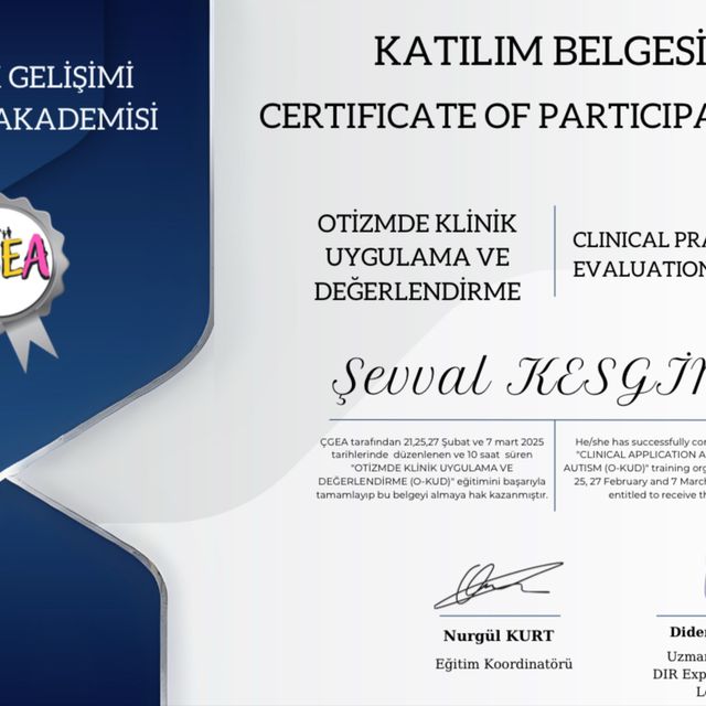 Resmi büyüt: certificate 4