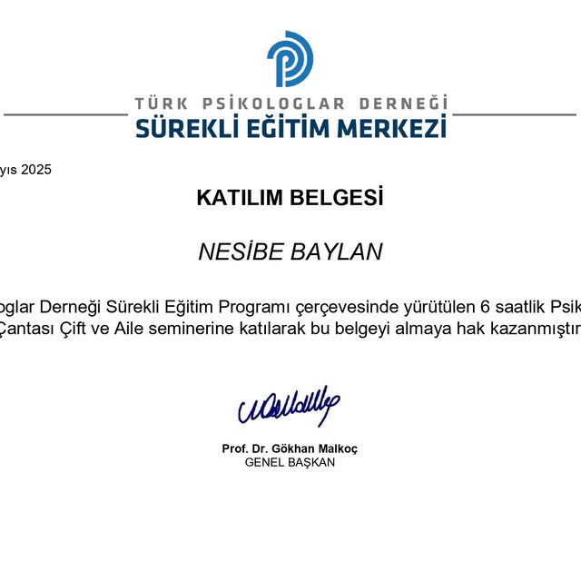 Resmi büyüt: certificate 4