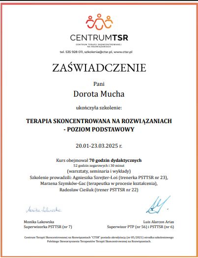 Powiększ obraz: certificate 2