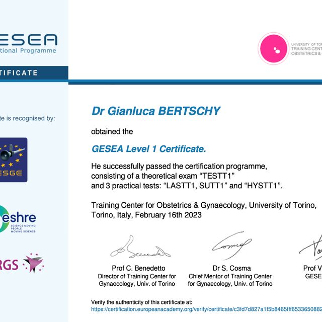 Ingrandire l'immagine: certificate 1