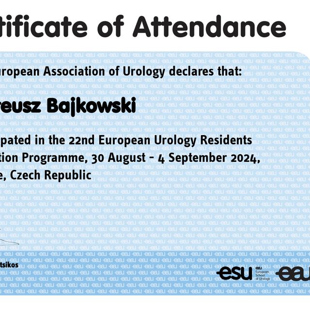 Powiększ obraz: certificate 6