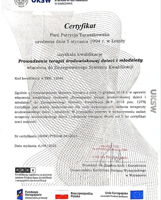 Powiększ obraz: certificate 1