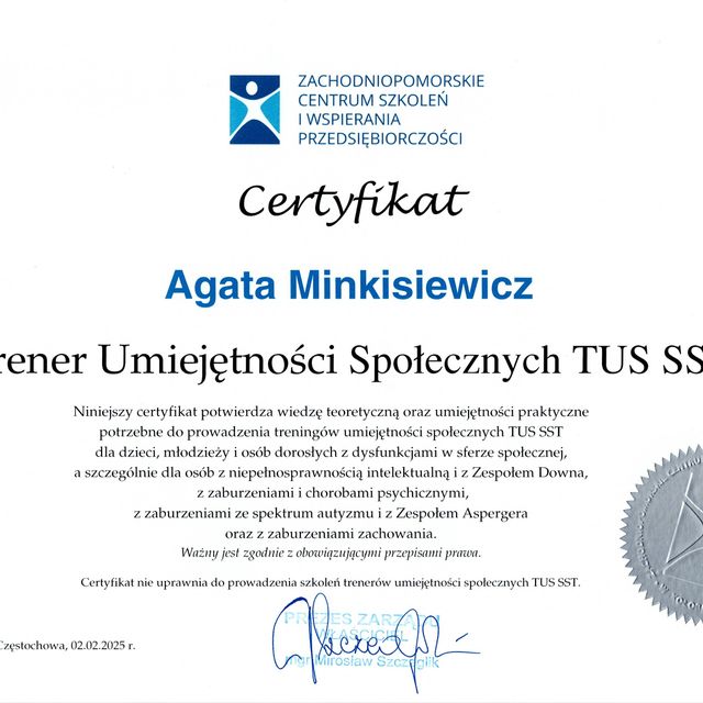 Powiększ obraz: certificate 2