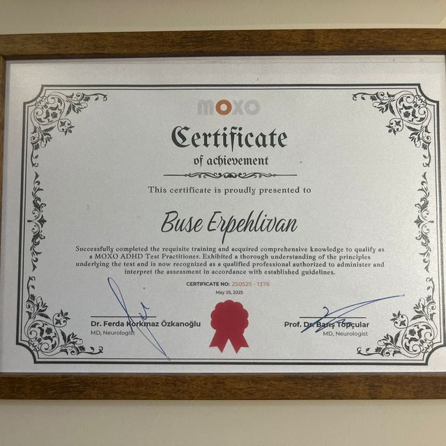 Resmi büyüt: certificate 3