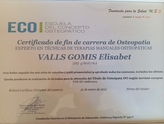 Acercar imagen: certificate 1