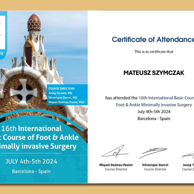 Powiększ obraz: certificate 1