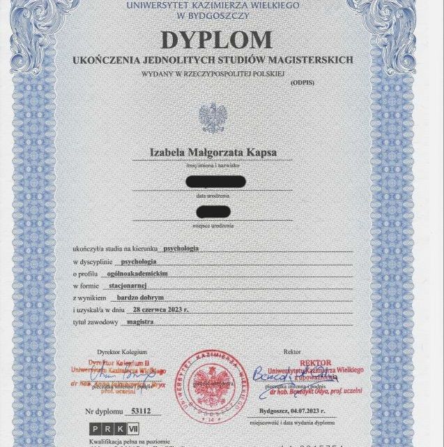 Powiększ obraz: certificate 1