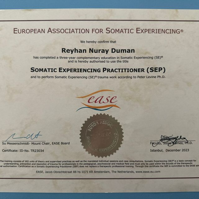 Resmi büyüt: certificate 5