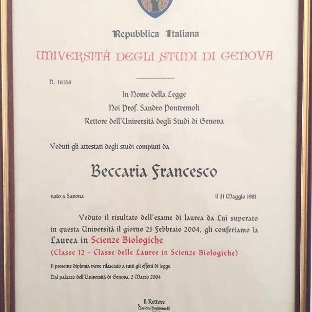 Ingrandire l'immagine: certificate 7