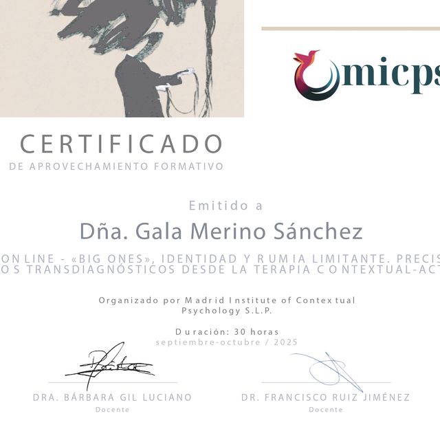 Acercar imagen: certificate 2
