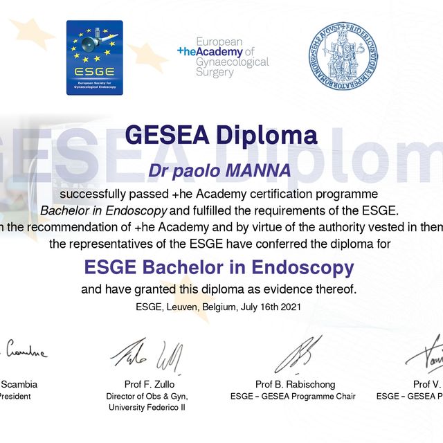 Ingrandire l'immagine: certificate 1