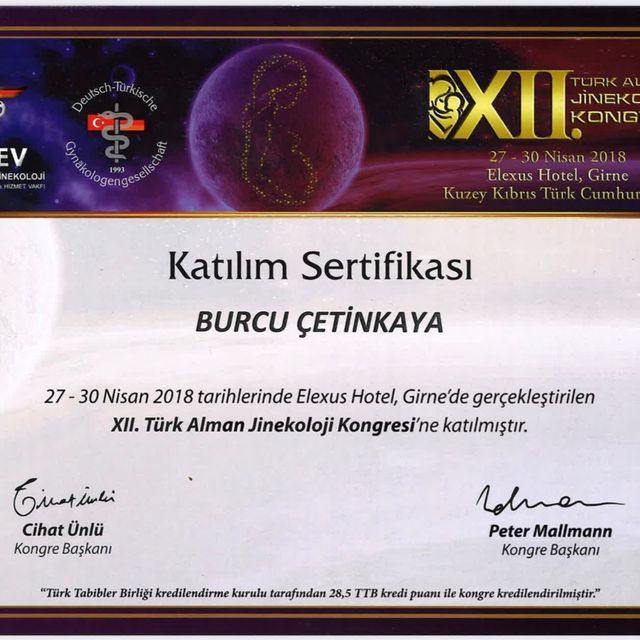 Resmi büyüt: certificate 6