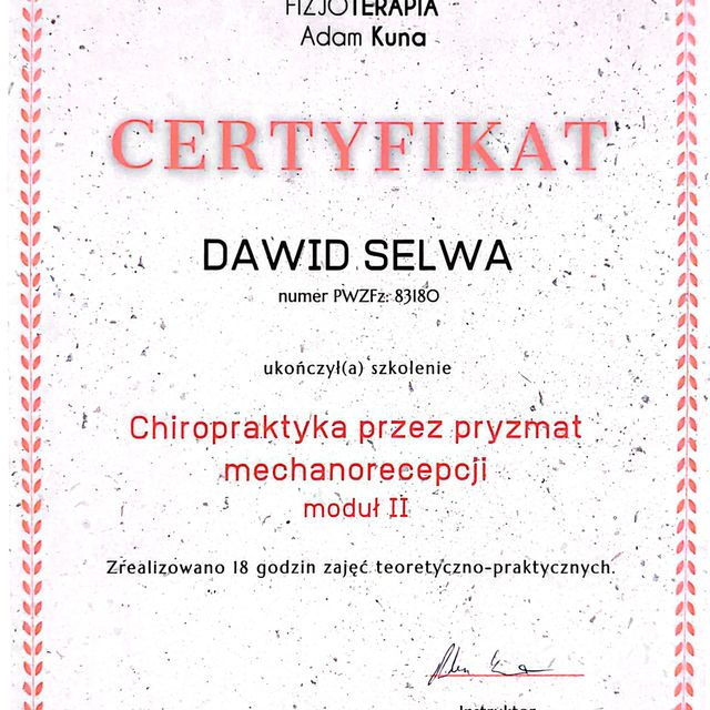 Powiększ obraz: certificate 7