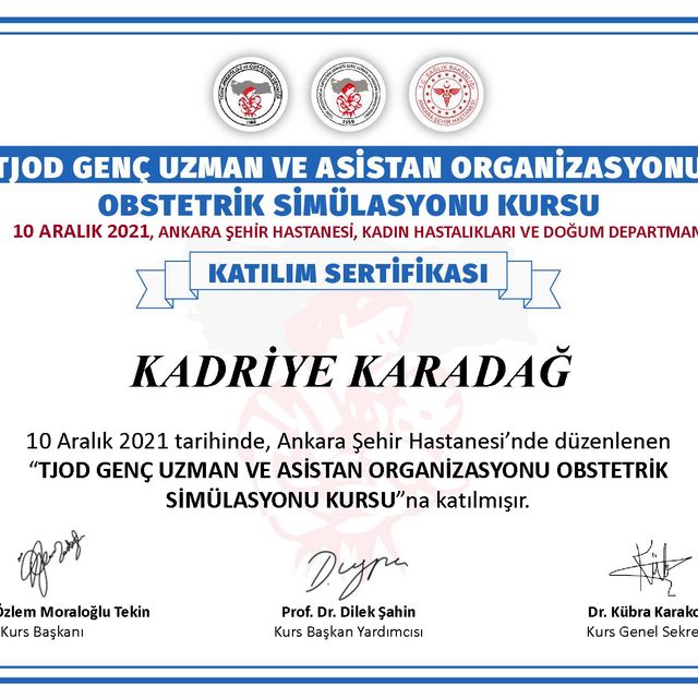 Resmi büyüt: certificate 20