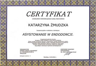 Powiększ obraz: certificate 8