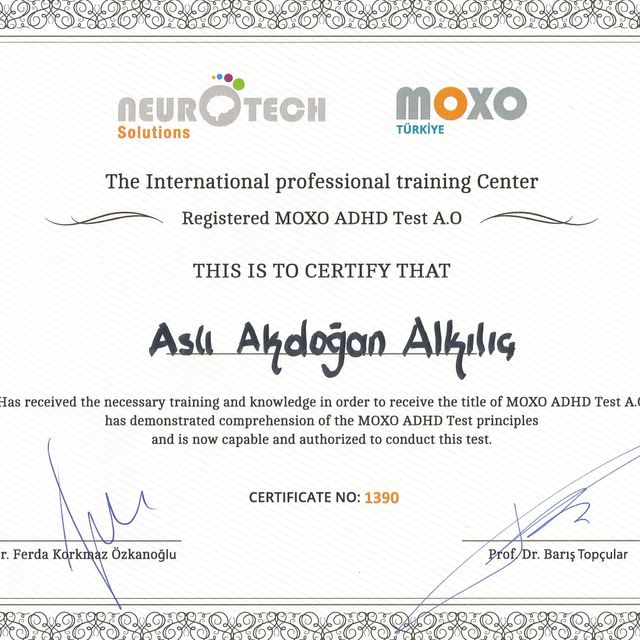 Resmi büyüt: certificate 6