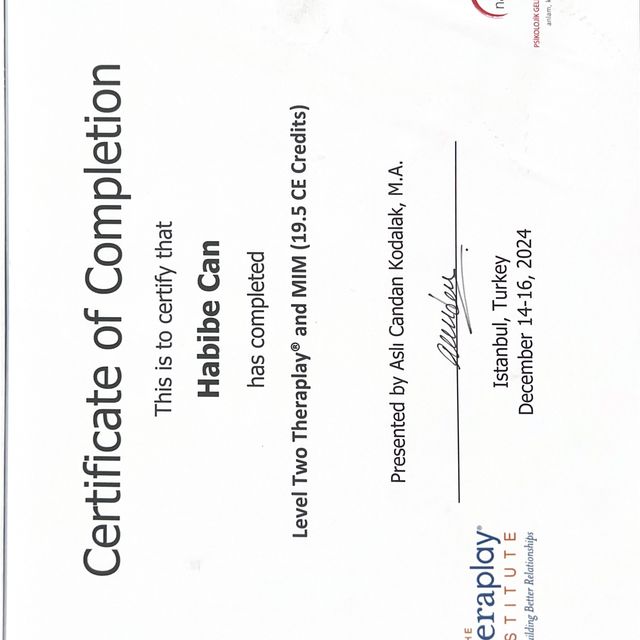 Resmi büyüt: certificate 4