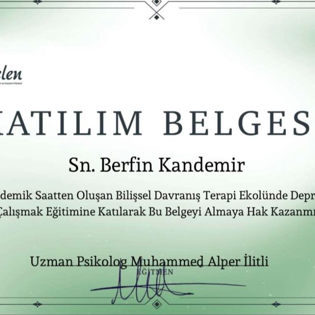 Resmi büyüt: certificate 15