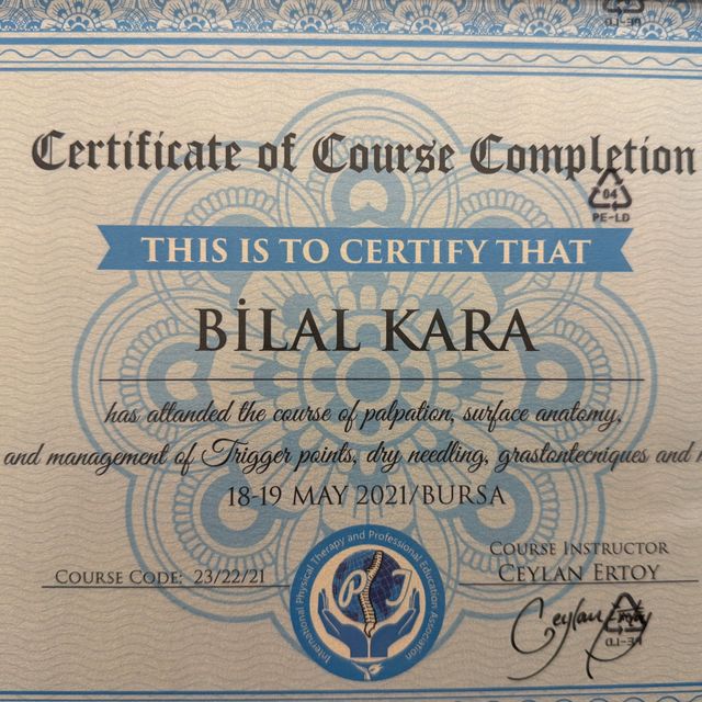 Resmi büyüt: certificate 2