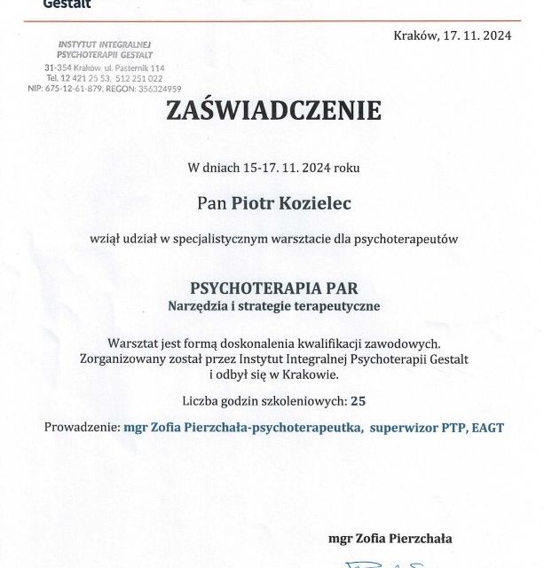 Powiększ obraz: certificate 2