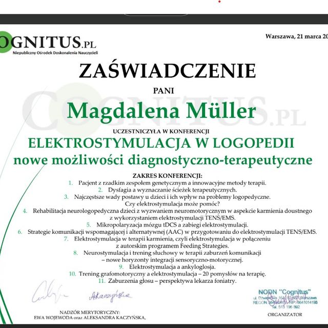 Powiększ obraz: certificate 41