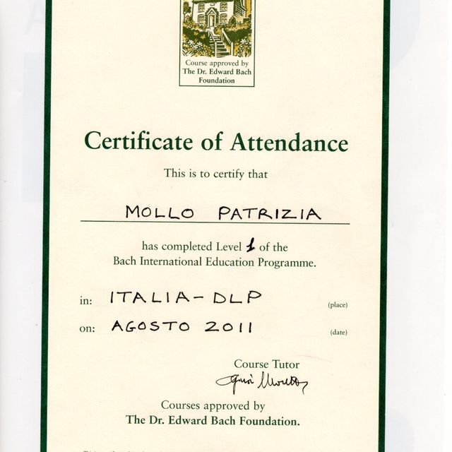 Ingrandire l'immagine: certificate 6