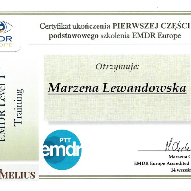 Powiększ obraz: certificate 3