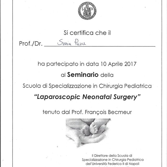 Ingrandire l'immagine: certificate 11