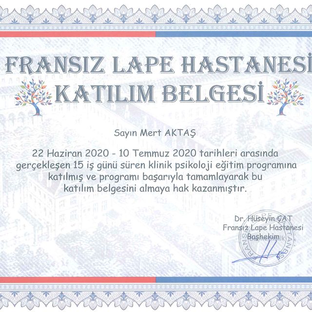 Resmi büyüt: certificate 7