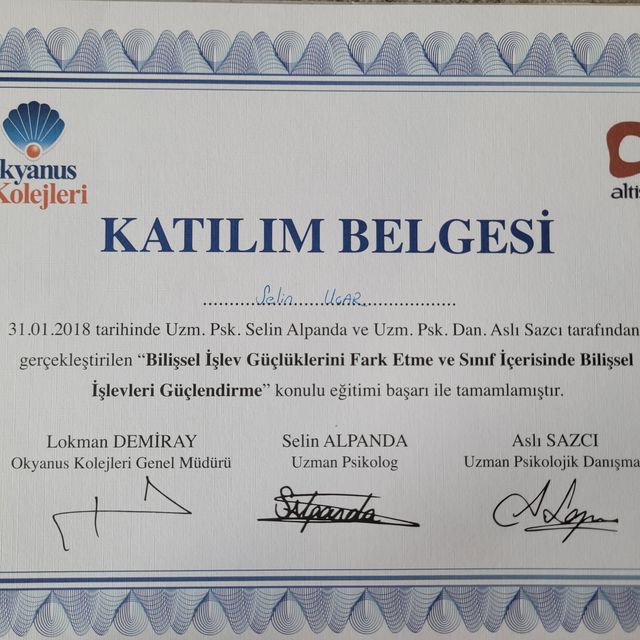 Resmi büyüt: certificate 9