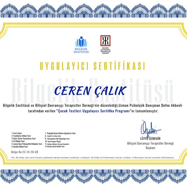 Resmi büyüt: certificate 12