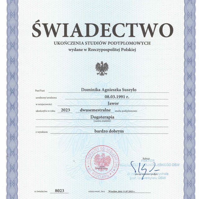 Powiększ obraz: certificate 2