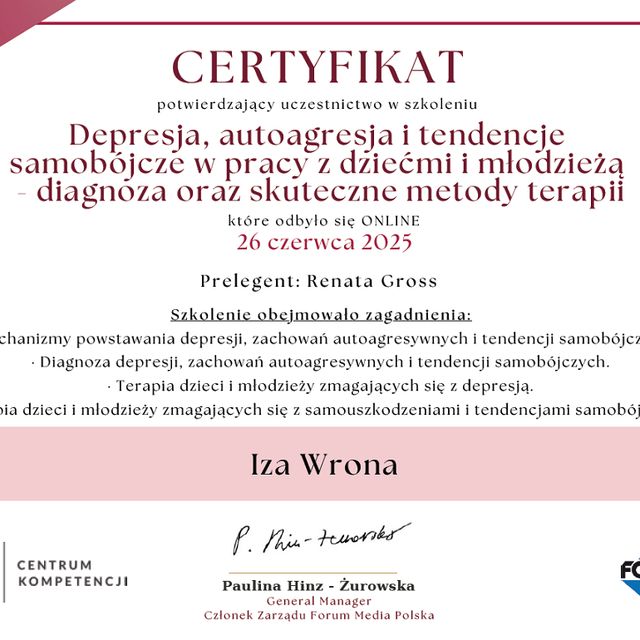 Powiększ obraz: certificate 6